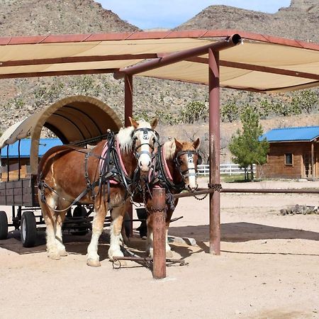 Grand Canyon Western Ranch Meadview Екстериор снимка