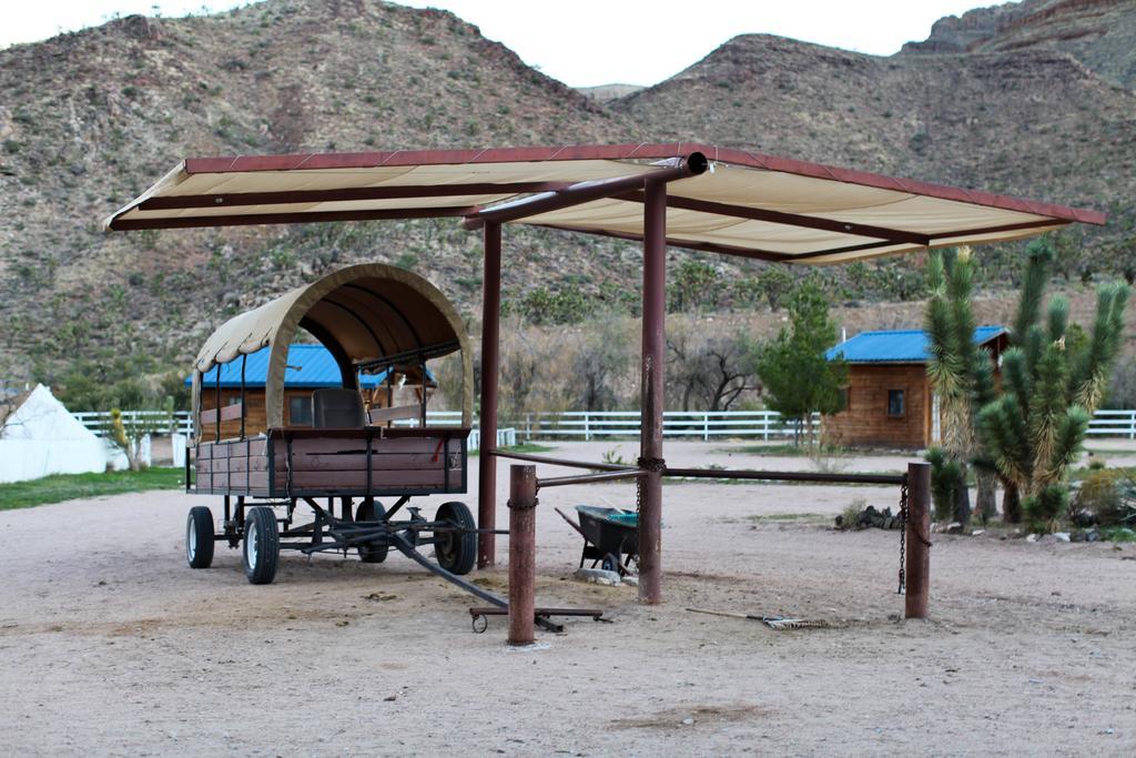 Grand Canyon Western Ranch Meadview Екстериор снимка