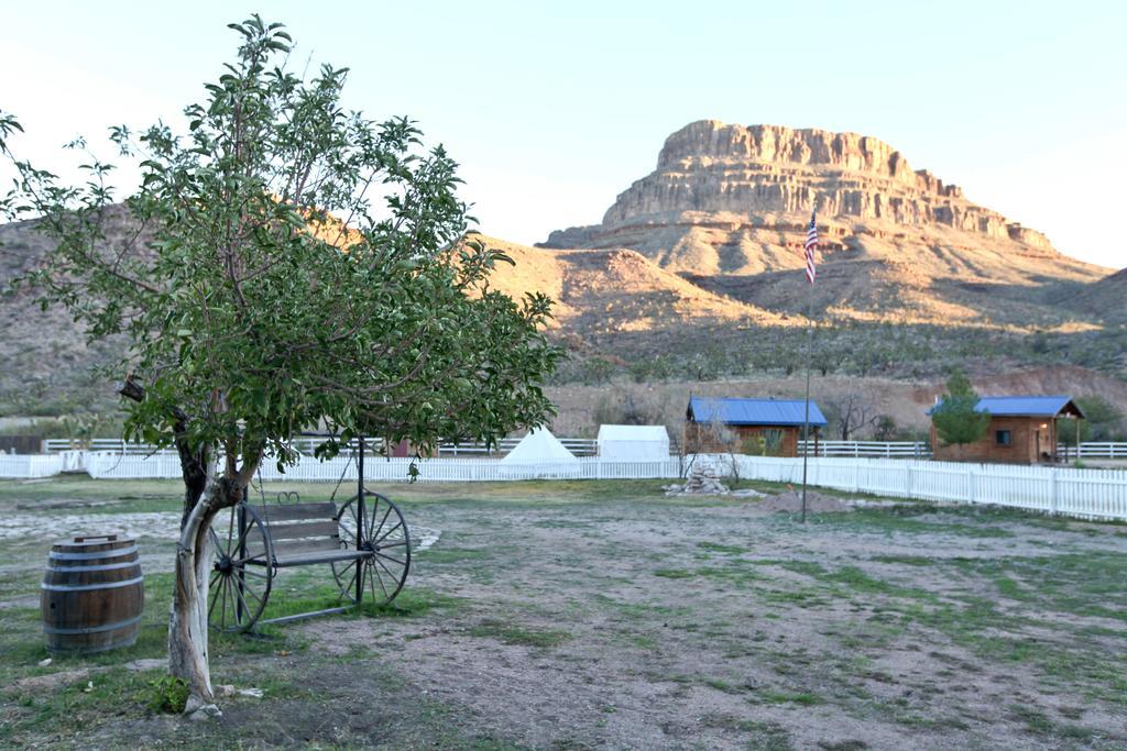 Grand Canyon Western Ranch Meadview Екстериор снимка