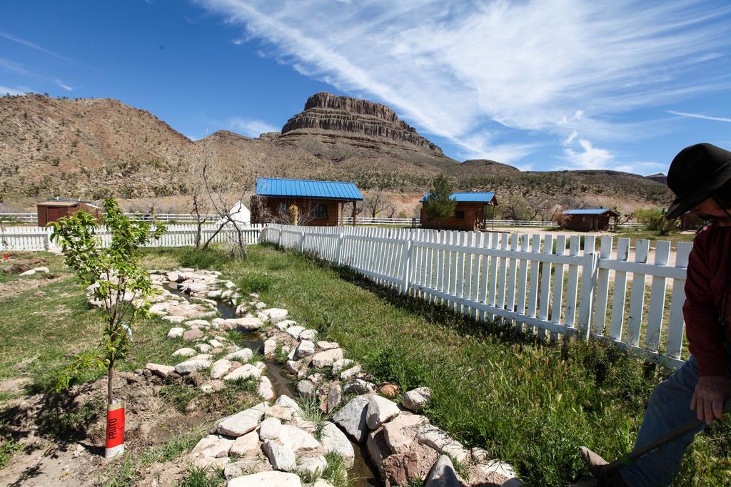 Grand Canyon Western Ranch Meadview Екстериор снимка