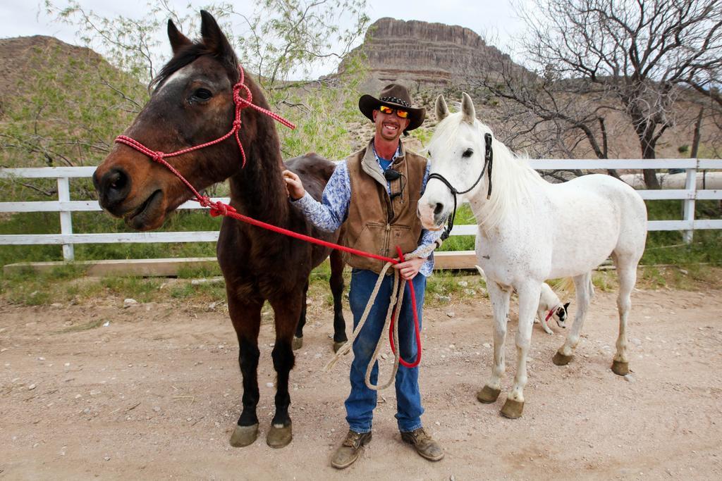 Grand Canyon Western Ranch Meadview Екстериор снимка