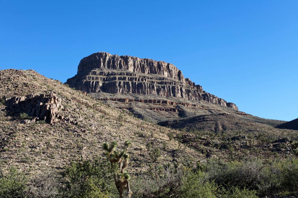 Grand Canyon Western Ranch Meadview Екстериор снимка